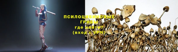 кокаин премиум Няндома