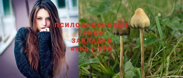 мяу мяу мука Нязепетровск