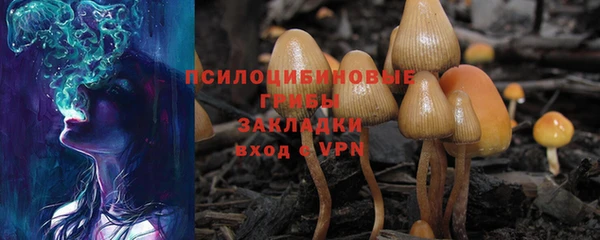 мяу мяу мука Новозыбков