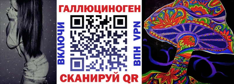 закладка mega tor Галлюциногенные грибы GOLDEN TEACHER Западная Двина